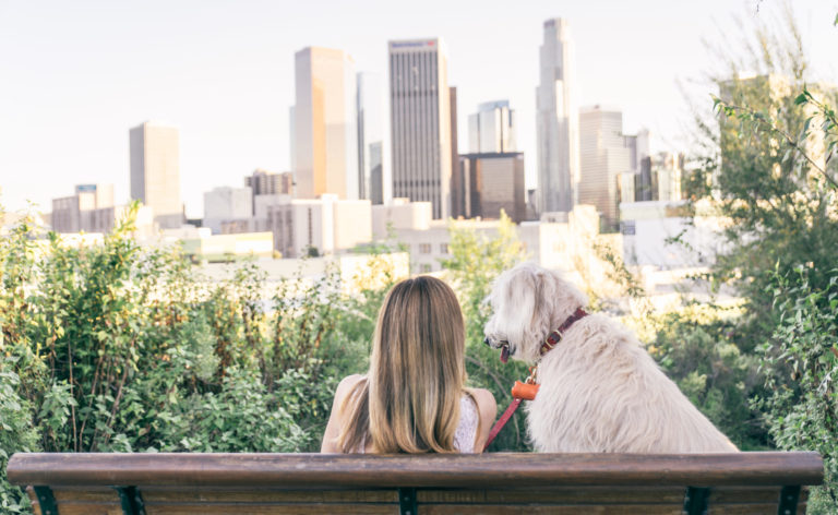 Woman sitting with her dog and enjoying the skyline view