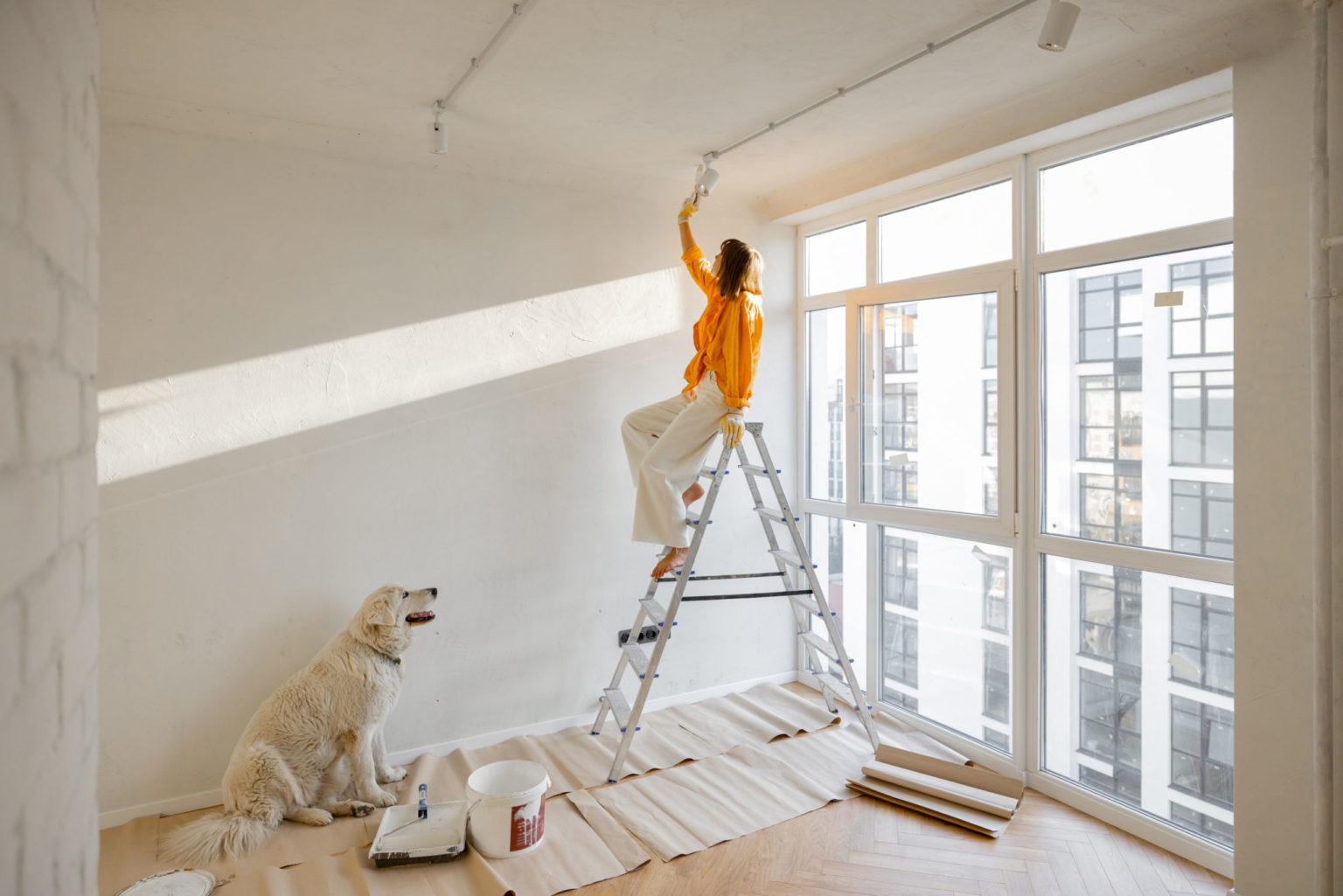 Woman with dog renovating house